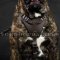 Leather Dog Harness for Cane Corso | Dog Harness with Handle UK