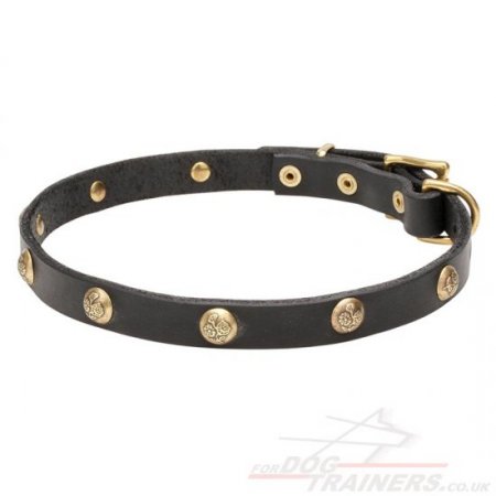 Pretty Dog Collar with Glancing Spikes and Studs NEW DESIGN!