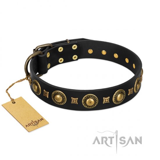 New Black and Gold Dog Collar Studded with Brass FDT Artisan
