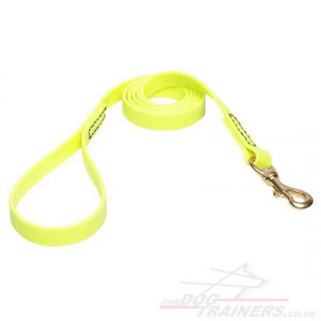 Modern Neon Yellow Dog Leash Biothane