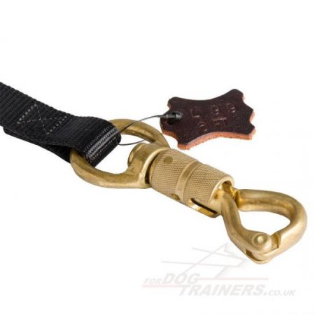 Extra Strong Heavy Duty Nylon Dog Leash with Elaborated Brass Snap