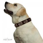"Breaking the Horizon" Gorgeous Brown Leather Dog Collar FDT Artisan_7