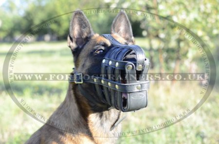 Soft & Light Leather Basket Dog Muzzle for Belgian Malinois