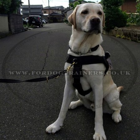 K9 Dog Harness No Pull Front Clip to Stop Pulling Running