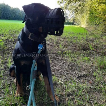 Strong Basket Rottweiler Leather Muzzle Soft and Light
