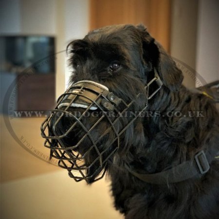 Muzzles for Dogs UK Bestsellers! Perfect for Wet and Cold