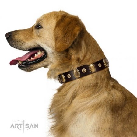 Awesome Chocolate Brown Leather Dog Collar FDT Artisan Luxurious Design