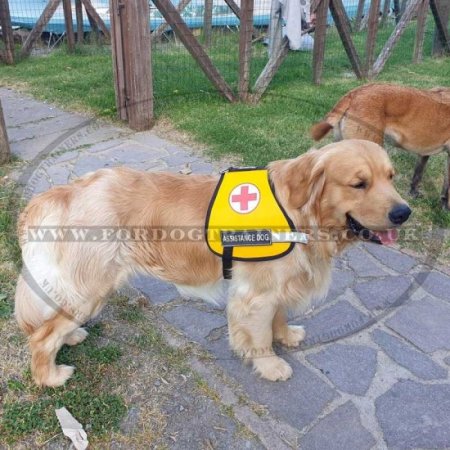 Yellow Service Dog Harness Vest with Removable Patches