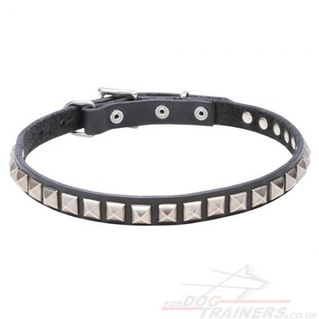 Pretty Dog Collar with Glancing Spikes and Studs NEW DESIGN!