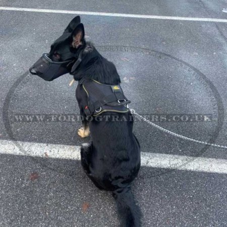 Best Dog Harness for German Shepherd Training and Walking