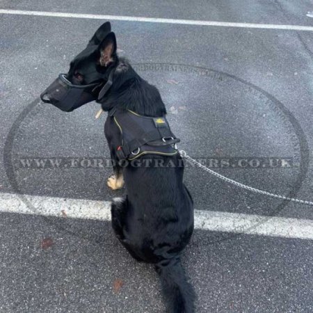 Best Dog Harness for German Shepherd Training and Walking