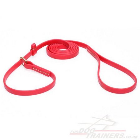 Red Dog Collar and Leash 2 in 1 Combo Choker with Handle