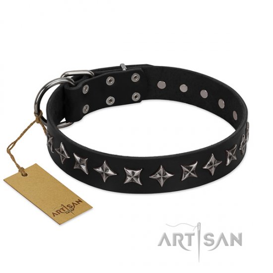 New Dog Collar Black Leather with Stars "Galaxy" FDT Artisan