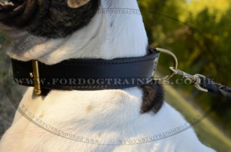 "Double-Layer" Two Ply Leather Dog Collar For American Bulldog 1.8 Width