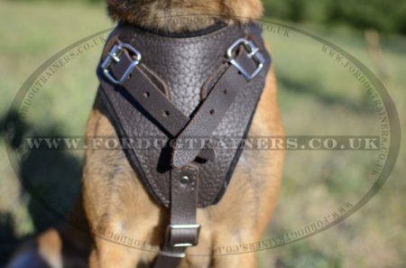 Protection/Attack Leather Dog Harness for Belgian Malinois