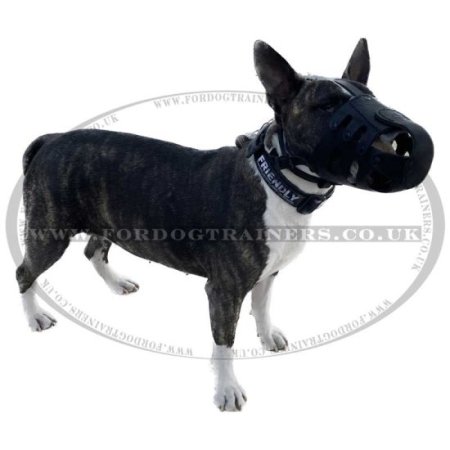 Black Leather Dog Muzzle for Everyday Use