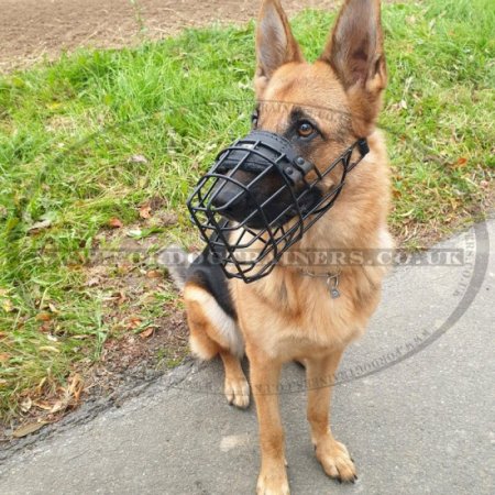 German Shepherd Muzzle Shape with Rubber-Coated Basket