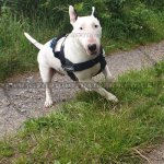 K9 Dog Harness No Pull Front Clip to Stop Dog Pulling on Lead_15