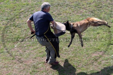 Dog Training Clothes: Nylon Apron for Dog Trainer and Helper