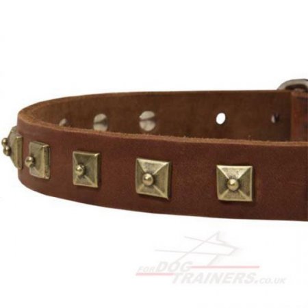 Siberian Husky Dog Collar with Belt Buckle Closure and Square Adornments