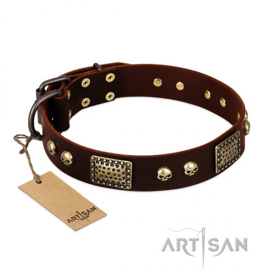 Brown Dog Collar with Brass Finery "Magic Amulet" by FDT Artisan