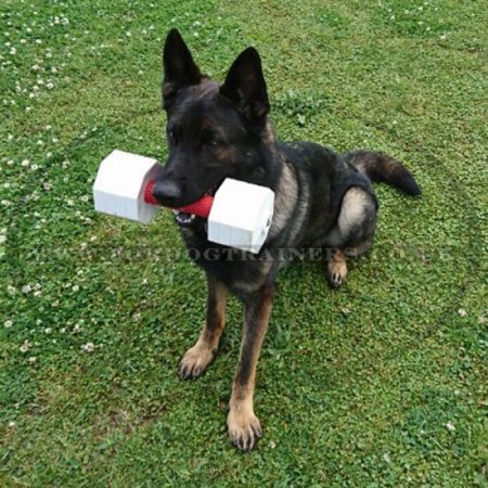 New Toy Dumbbell for Dogs "The Tool of Power", 2 kg