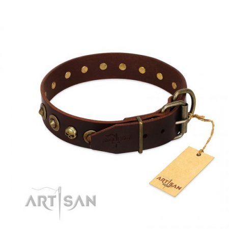 "Street Fashion" Extra Durable Brown Leather Dog Collar FDT Artisan