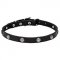 Ethnic Dog Collars Designs with Silver-Like Studs