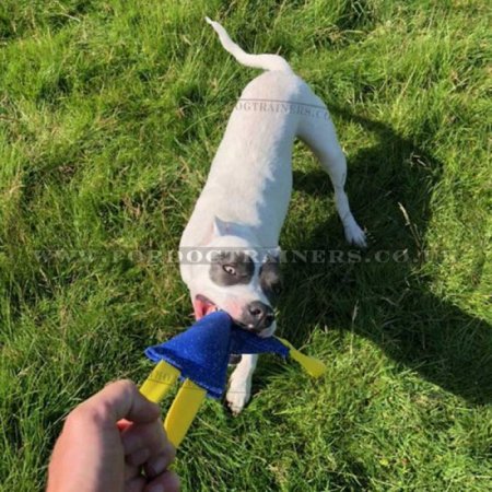 French Linen Dog Bite Tug with 2 Handles