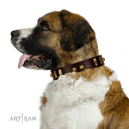 "Choco Delight" Awesome Chocolate Brown Leather Dog Collar With Brass Hardware FDT Artisan