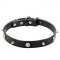 New Pirate Style for Your Dog! 1 Inch Dog Collar