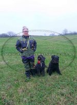 Khaki Dog Anti Scratch Suit for Dog Training_1