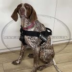 K9 Dog Harness No Pull Front Clip to Stop Dog Pulling on Lead_23