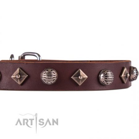 Extravagant Brown Leather Personalised Dog Collar FDT Artisan