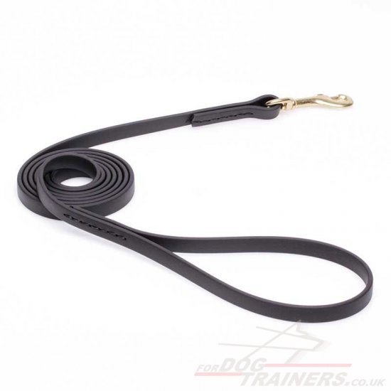 New Super Durable Black Biothane Dog Leash with Handle