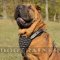 Chinese Shar Pei Leather Harness for Dogs' Comfort and Style Spiked