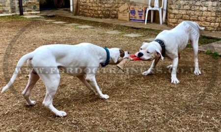 Strong Jute Bite Tug for Dog Training with 1 Handle