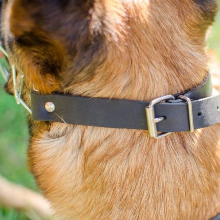 Wire Dog Muzzle for Malinois UK Bestseller