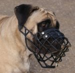 Wire Dog Muzzle Boerboel Mastiff Training | Rubber Dog Muzzle UK