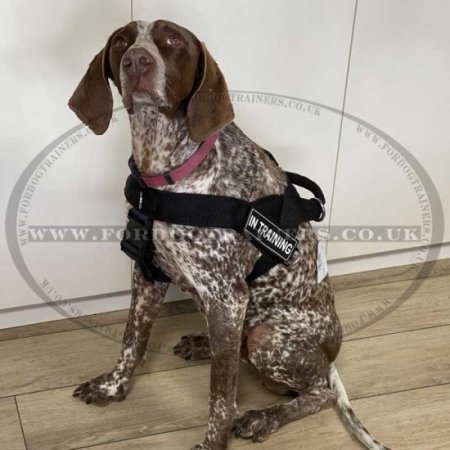 Multipurpose Nylon Anti Pulling Dog Harness for Cocker Spaniel