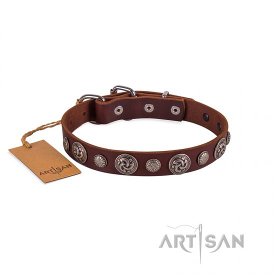 Premium Chocolate Brown Leather Dog Collar With Round Medallions FDT Artisan