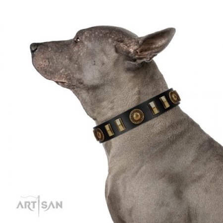 "Lion’s Pride" Durable Black Real Leather Dog Collar FDT Artisan
