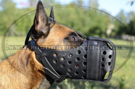 Leather Dog Muzzle for Malinois | Strong K9 Dogs Muzzle