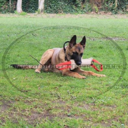 Strong Jute Bite Tug for Dog Training with 1 Handle