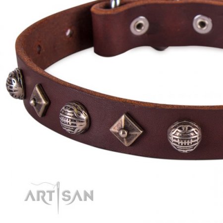 Extravagant Brown Leather Personalised Dog Collar FDT Artisan