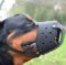 Leather Dog Muzzle for Rottweiler | Rottweiler Muzzle Daily Use