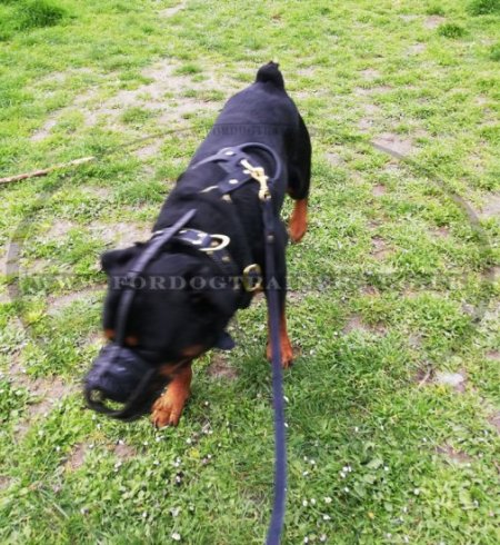 Strong Basket Rottweiler Leather Muzzle Soft and Light