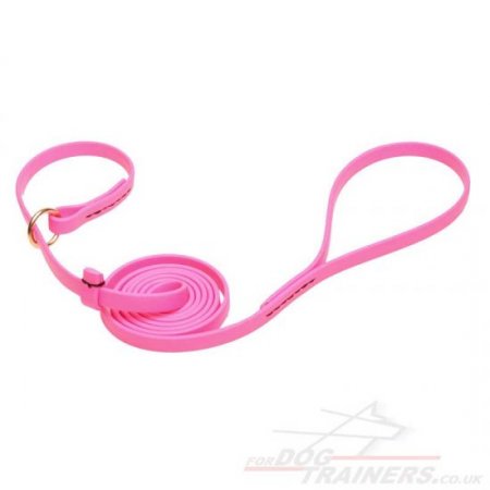Pink Dog Collar and Lead Set Combo Super Strong Biothane