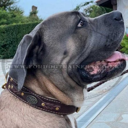 Luxury Handmade Leather Dog Collar UK Bestseller "Royal Style"