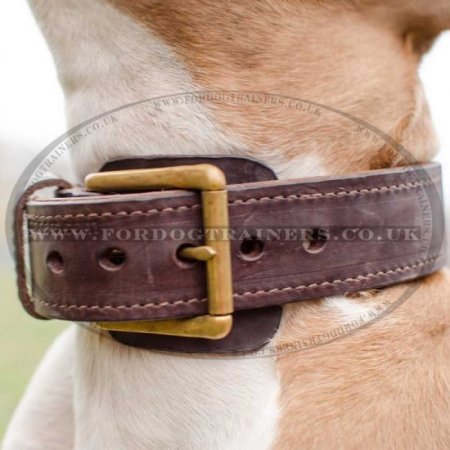 2 Ply Leather Agitation Dog Collar for Staffy UK Bestseller